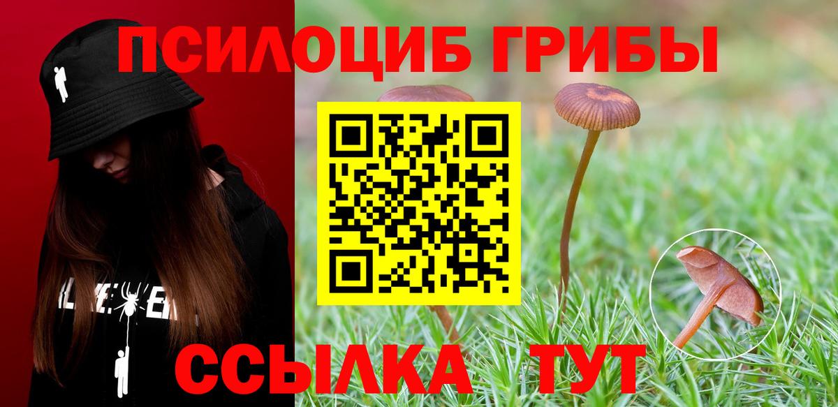 Галлюциногенные грибы ЛСД  сколько стоит  Хасавюрт  Вход с VPN 