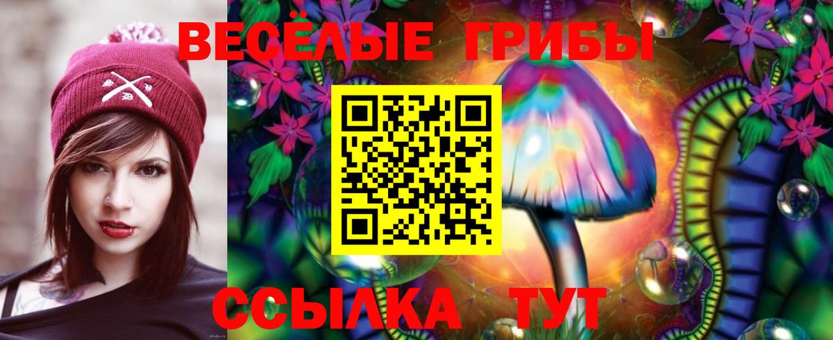 Псилоцибиновые грибы прущие грибы Хасавюрт
